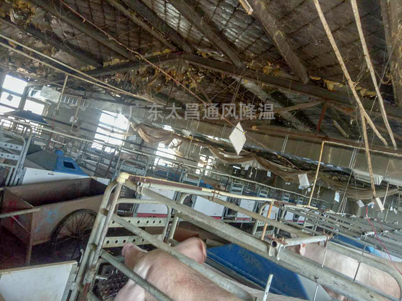 养殖场通风降温3